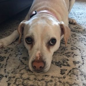 Meet your Posher, Izabella